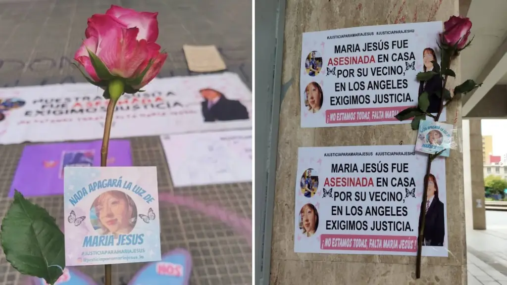 María Jesús Troncoso recurso de nulidad Corte de Apelaciones