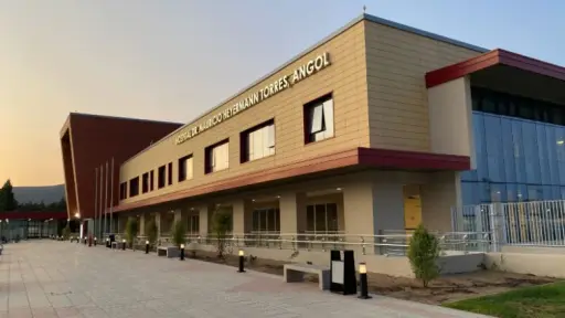 Denuncian uso de título falso por directivo del Hospital de Angol