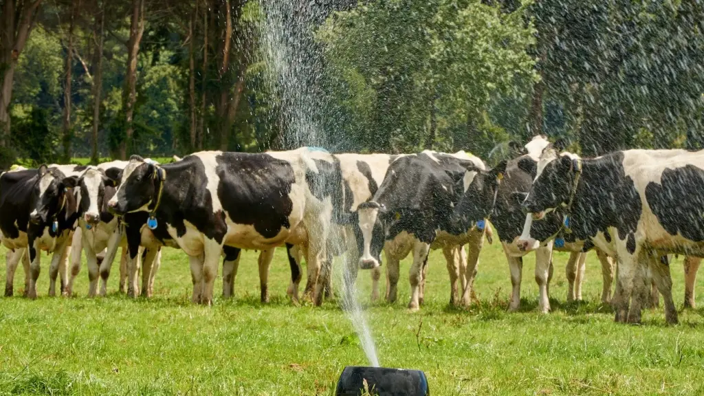 La recepción de leche proveniente de Biobío cerró con un 7,3% menos que el año 2023, mientras que a nivel nacional, el promedio aumentó un 3,3%.