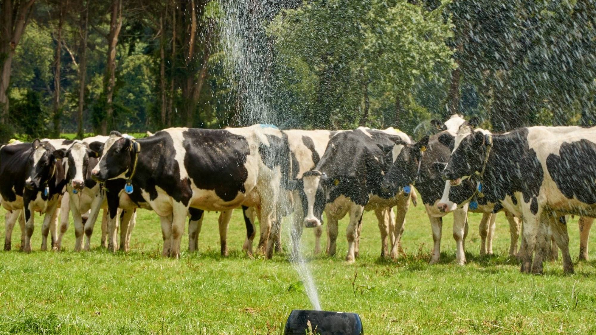 Productores de leche apuntan a la innovación y sostentabilidad en 2025 ...