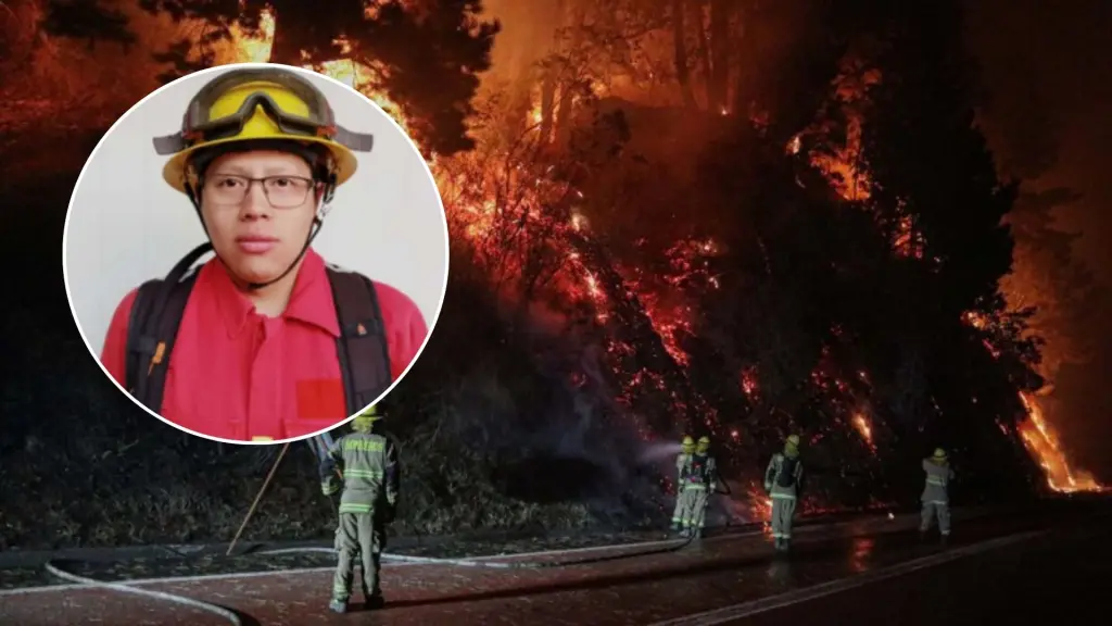La Araucanía: brigadista de CMPC fallece mientras combatía incendio en Ercilla, La Tribuna