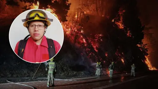 La Araucanía: brigadista de CMPC fallece mientras combatía incendio en Ercilla