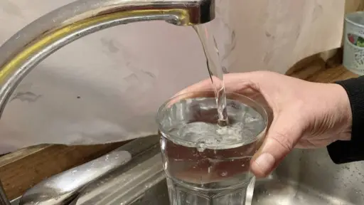 No hay riesgos para la salud: Essbio responde a la alerta por pelillos blancos en el agua de Mulchén