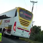 Atropello en Ruta Q-20., Cedida