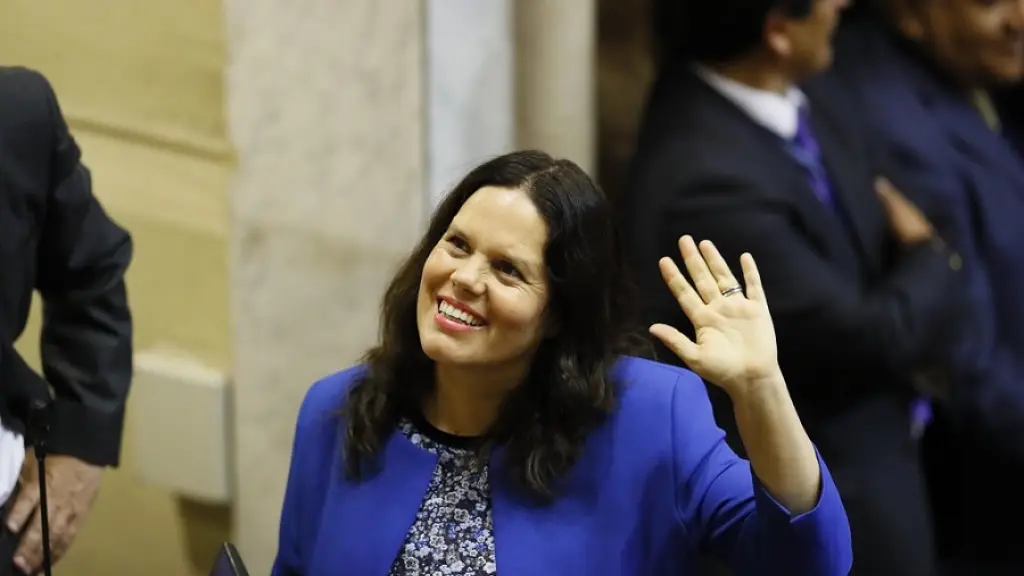 Maya Fernández Tribunal Constitucional Casa de Allende