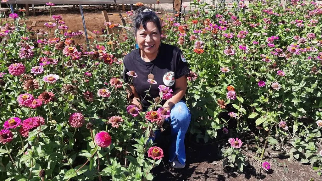 El emprendimiento rural femenino: Copihues de Rucalhue, cedida