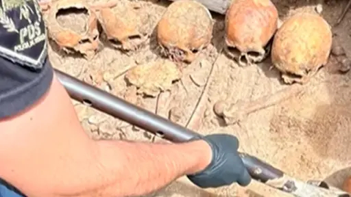 Impactante hallazgo en Argentina: descubren 12 cráneos humanos en una vivienda