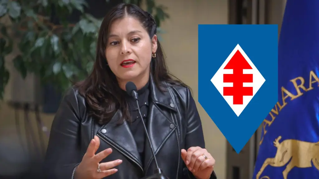 Karen Medina diputada Democracia Cristiana
