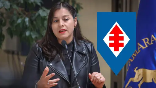Diputada Karen Medina se unirá a la lista de la Democracia Cristiana para elecciones 2025
