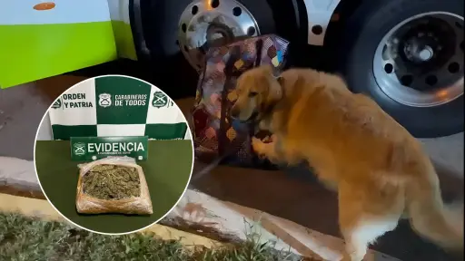 Operativo antidrogas en Cabrero termina con incautación de marihuana y un detenido