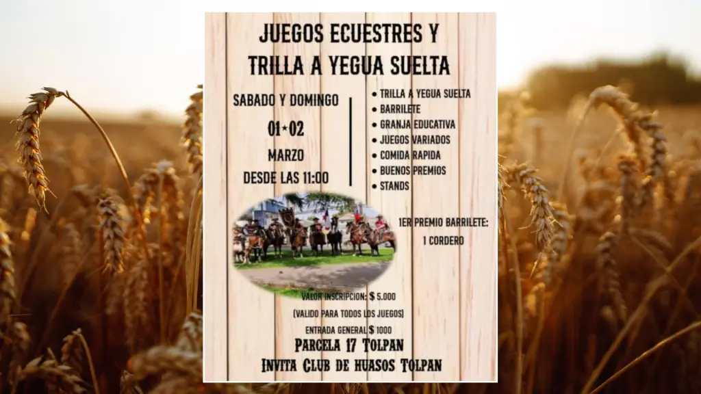 Tolpán celebra sus tradiciones con la Trilla a Yegua Suelta y Juegos Ecuestres, Cedida
