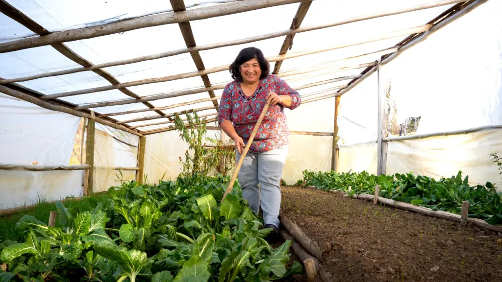 líderes campesinas, cedidas