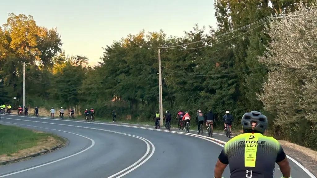 actividad seguridad vial, cedida
