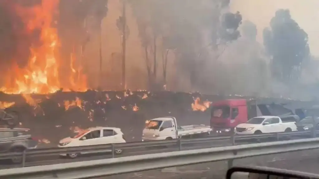 Corporación Chilena de la Madera alerta sobre los incendios en La Araucanía , Cedida