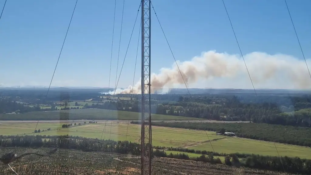 Actualización: Incendio forestal en Los Ángeles: mal uso de herramienta habría originado la emergencia, cedida