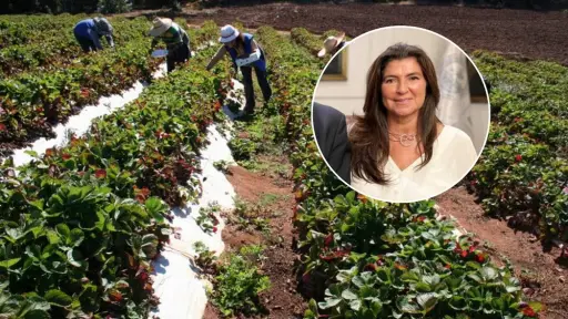 Vicepresidenta de la SNA: Las mujeres hemos ganado espacio en el agro