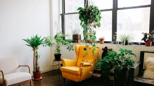 Transforma tu espacio con pasto sintético y plantas de interior