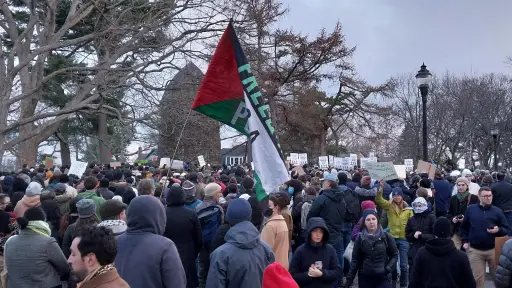 Detienen en EEUU a otra estudiante musulmana que publicó un artículo en favor de Palestina