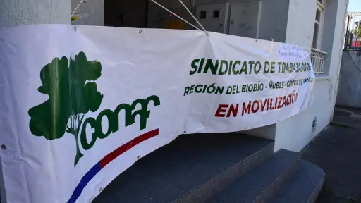 Pérdida de atribuciones: La razón del conflicto en la Conaf en medio de discusión legislativa para ser servicio nacional
