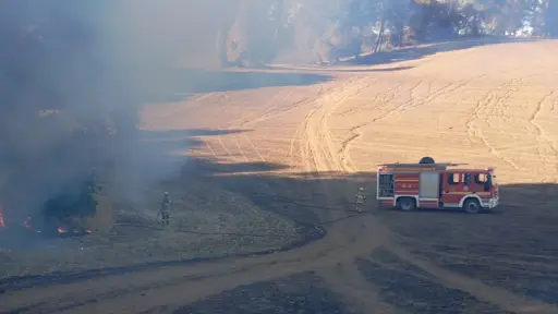 Intensas rachas de viento Puelche provocan incendios forestales y cortes de luz en Biobío