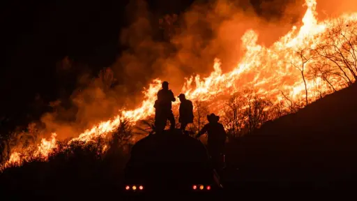 Se reportan más de 250 hectáreas afectadas por incendios forestales en la Región del Biobío 