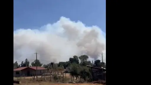 CMPC mantiene un alto despliegue en la zona sur, con cerca de 700 brigadistas en el combate de 12 incendios
