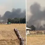 Incendio Forestal Las Mercedes Mulchén
