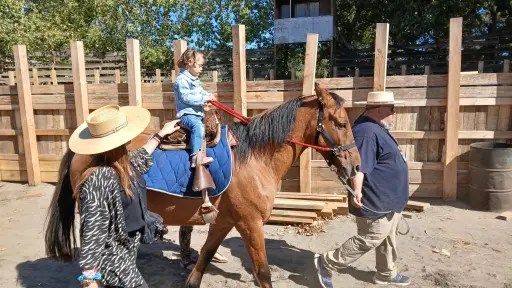 Río Vergara será sede de jornada cultural con cabalgata, rienda y tradiciones campesinas