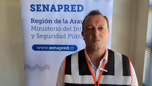 Renuncia el Director Regional de Senapred en La Araucanía en medio de crisis por incendios forestales