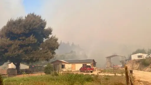 Incendio forestal en Santa Juana destruye cuatro viviendas