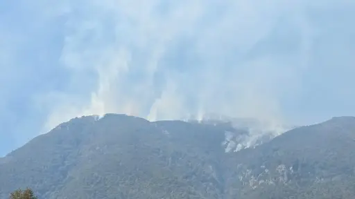 Más de 500 hectáreas de bosque nativo consumido por incendios en la Cordillera de Santa Bárbara