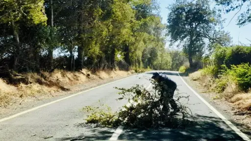 Siguen los efectos del Viento Puelche 