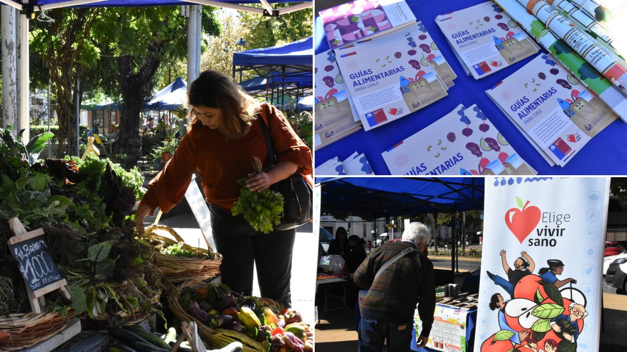 Elige Vivir Sano: Feria impulsó el consumo de productos locales y la ...