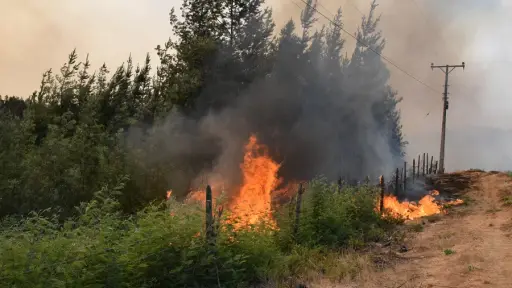Biobío registra un 20% menos de incendios forestales esta temporada en comparación a periodo anterior