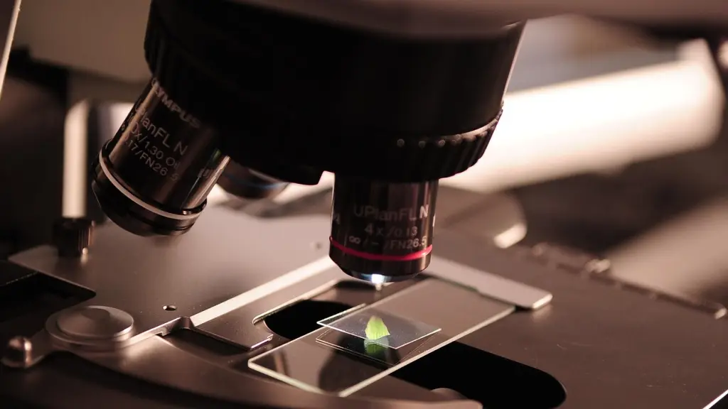 microscopio, investigar, laboratorio, ciencia, medicamento, científico, Pixabay