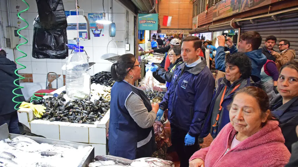 Durante la jornada de este miércoles, las autoridades fiscalizaron el terminal pesquero emplazado en la Vega Techada de Los Ángeles., La Tribuna