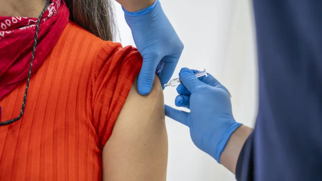 En la provincia de Biobío, la cifra de personas inoculadas contra la Influenza supera el 48%, Seremi de Salud Biobío