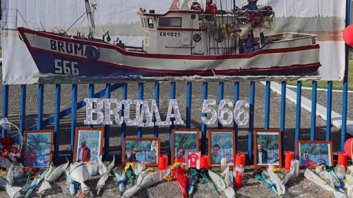 Presentan querella por homicidio contra capitán de barco industrial por caso Bruma