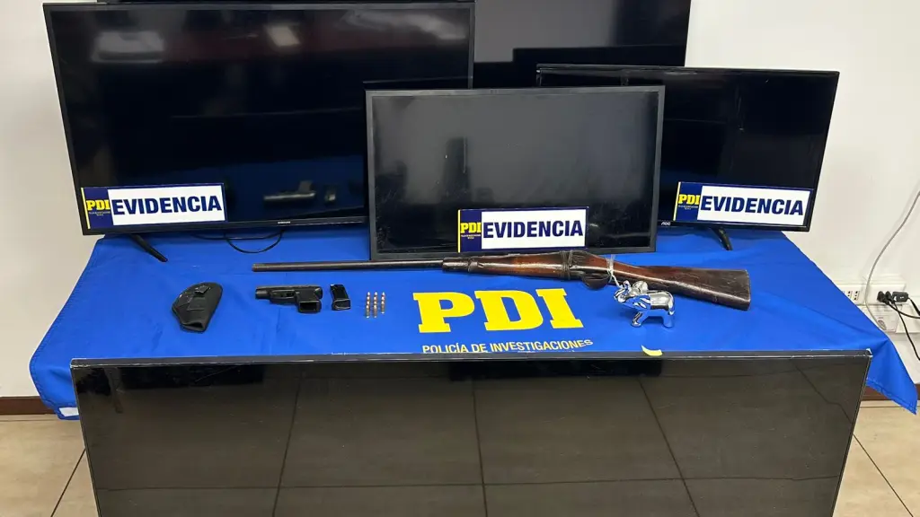 Especies recuperadas por detectives de la PDI., PDI Biobío