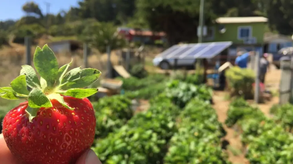 curso online mujeres Comisión Nacional de Riego