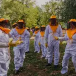 Colmenas inteligentes florecen en Biobío: Tecnología y apicultura se unen para impulsar el desarrollo rural, cedida