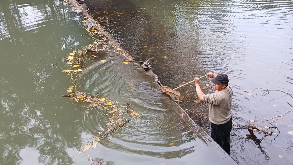 El problema fue detectado esta semana, Rere Pueblo Mágico I