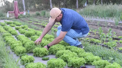 Programa Mi Primer Negocio Rural busca frenar el éxodo juvenil de los campos a las ciudades