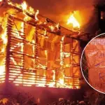 Incendio en Contulmo, La Tribuna