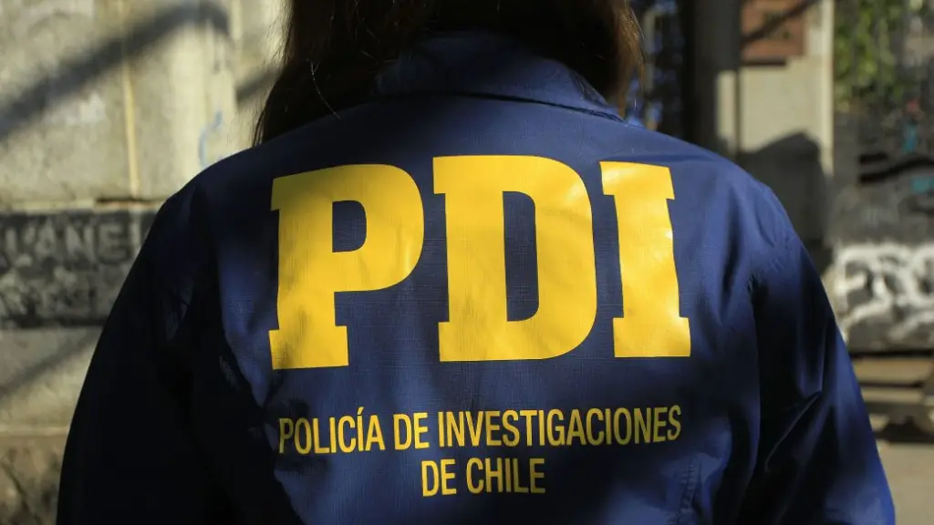 Las diligencias fueron encabezadas por detectives de la Bicrim de Angol., PDI Araucanía