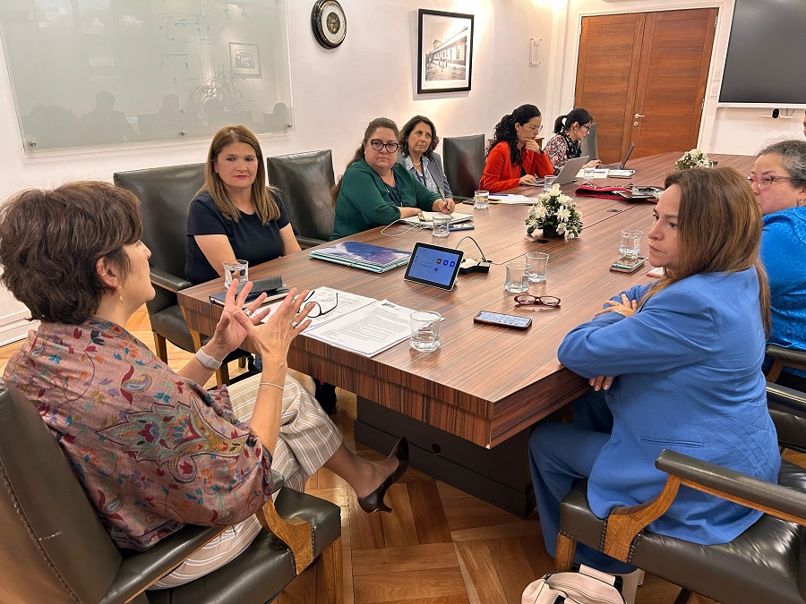 Reunión de madre de Javiera Rodríguez y autoridades con ministra de Salud / Cedida