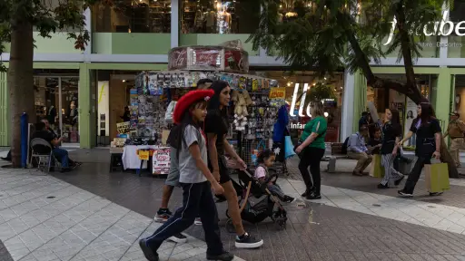Chile registra una de las tasas de fecundidad más bajas del mundo: no hay condiciones
