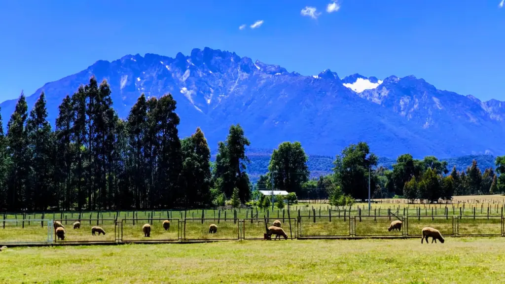 La nueva infraestructura abordaría los problemas de conectividad vial que enfrenta la comuna y sus vecinas frente a derrumbes, inundaciones o temporales.