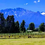 La nueva infraestructura abordaría los problemas de conectividad vial que enfrenta la comuna y sus vecinas frente a derrumbes, inundaciones o temporales.