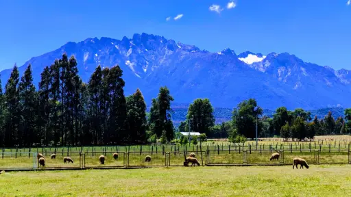 Alcalde de Quilaco pide que se construya puente que una a comunas cordilleranas